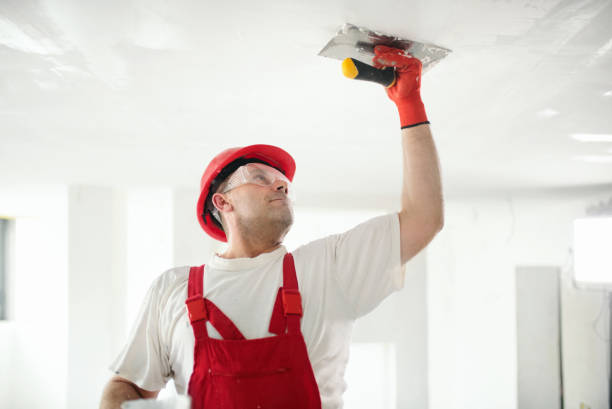 Best Ceiling Drywall Installation  in USA